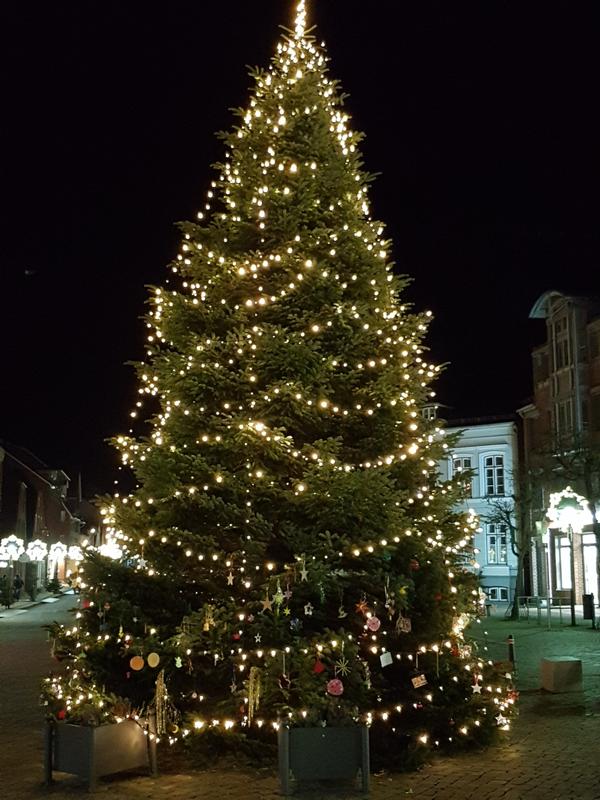 Weihnachtsbaum 