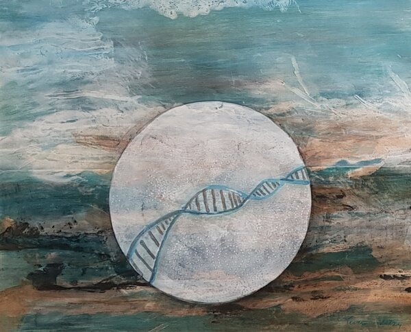 nature's-law
